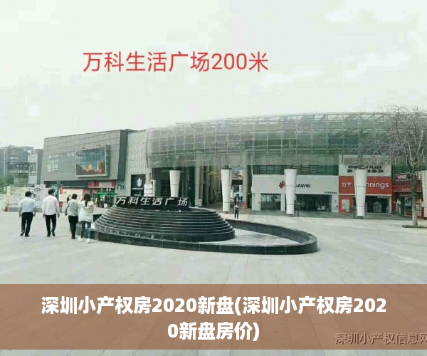 深圳小产权房2020新盘(深圳小产权房2020新盘房价)