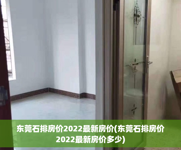 东莞石排房价2022最新房价(东莞石排房价2022最新房价多少)