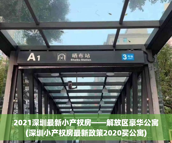 2021深圳最新小产权房——解放区豪华公寓(深圳小产权房最新政策2020买公寓)