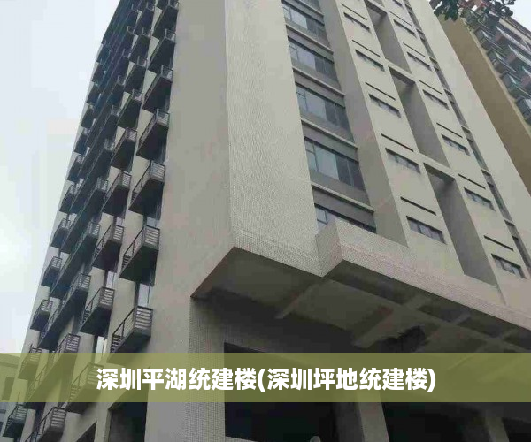 深圳平湖统建楼(深圳坪地统建楼)