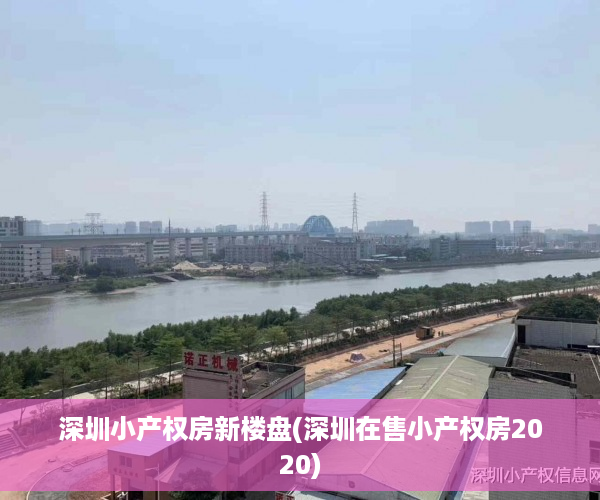 深圳小产权房新楼盘(深圳在售小产权房2020)