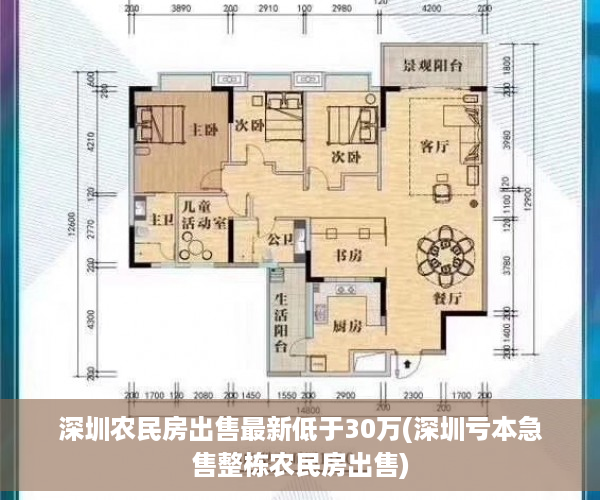 深圳农民房出售最新低于30万(深圳亏本急售整栋农民房出售)