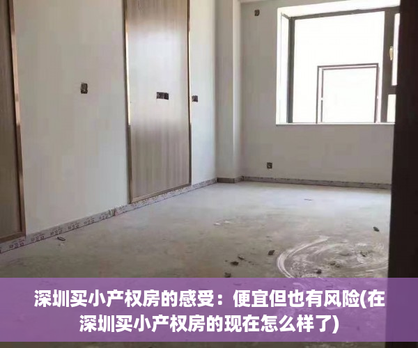 深圳买小产权房的感受：便宜但也有风险(在深圳买小产权房的现在怎么样了)