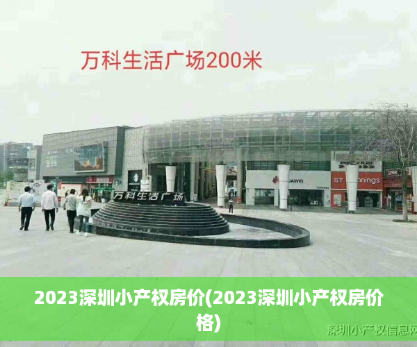 2023深圳小产权房价(2023深圳小产权房价格)