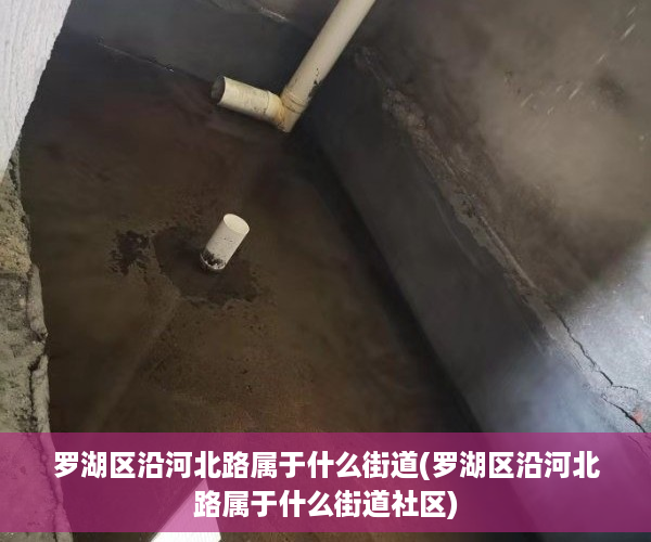 罗湖区沿河北路属于什么街道(罗湖区沿河北路属于什么街道社区)