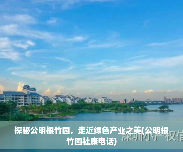 探秘公明根竹园，走近绿色产业之美(公明根竹园社康电话)