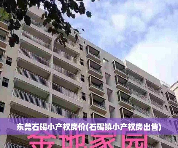 东莞石碣小产权房价(石碣镇小产权房出售)