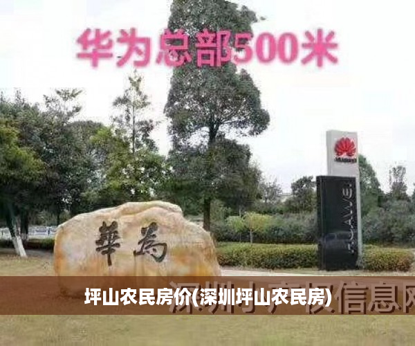 坪山农民房价(深圳坪山农民房)