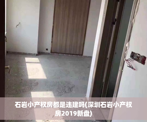 石岩小产权房都是违建吗(深圳石岩小产权房2019新盘)