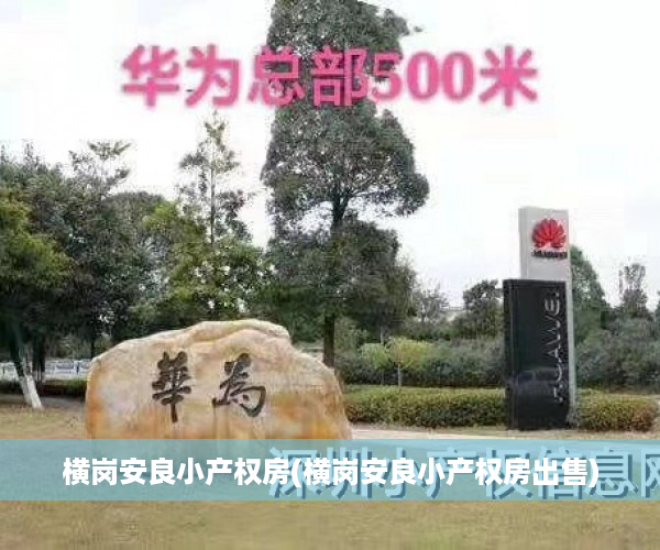 横岗安良小产权房(横岗安良小产权房出售)