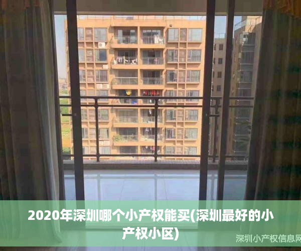 2020年深圳哪个小产权能买(深圳最好的小产权小区)