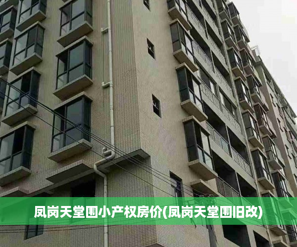 凤岗天堂围小产权房价(凤岗天堂围旧改)