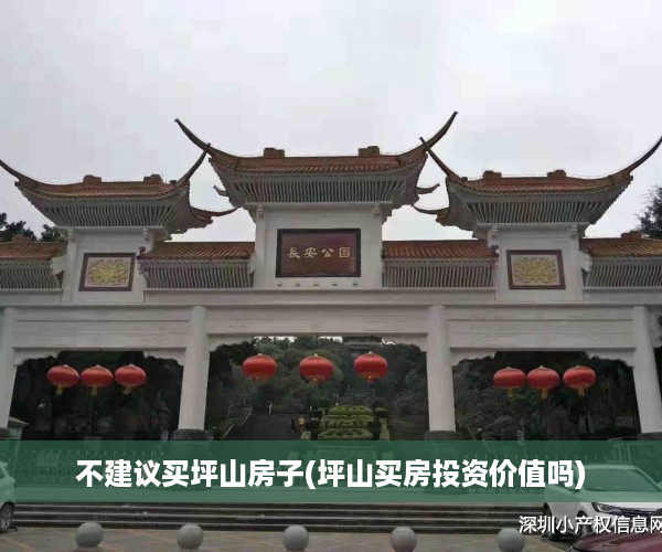 不建议买坪山房子(坪山买房投资价值吗)