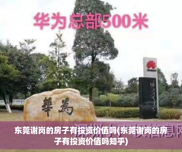 东莞谢岗的房子有投资价值吗(东莞谢岗的房子有投资价值吗知乎)