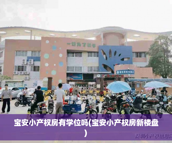 宝安小产权房有学位吗(宝安小产权房新楼盘)