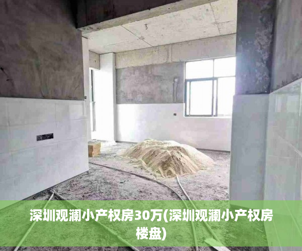 深圳观澜小产权房30万(深圳观澜小产权房楼盘)