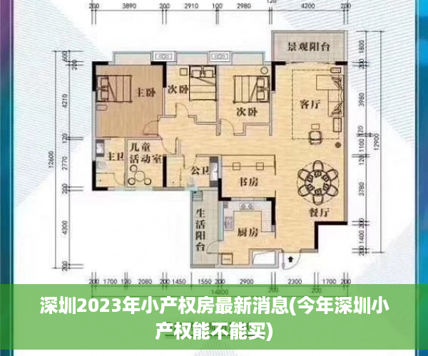 深圳2023年小产权房最新消息(今年深圳小产权能不能买)