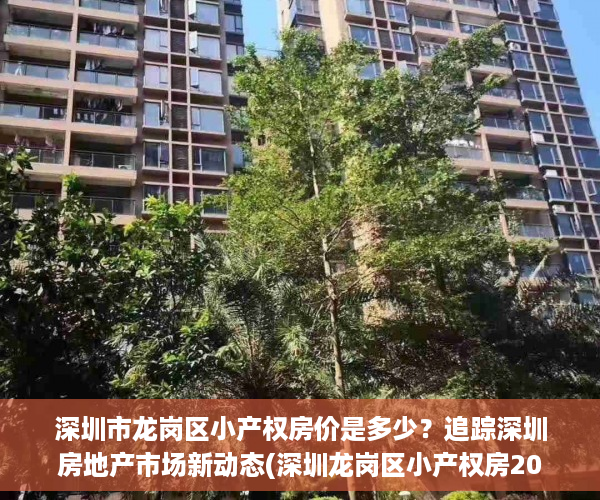 深圳市龙岗区小产权房价是多少？追踪深圳房地产市场新动态(深圳龙岗区小产权房2020新盘)