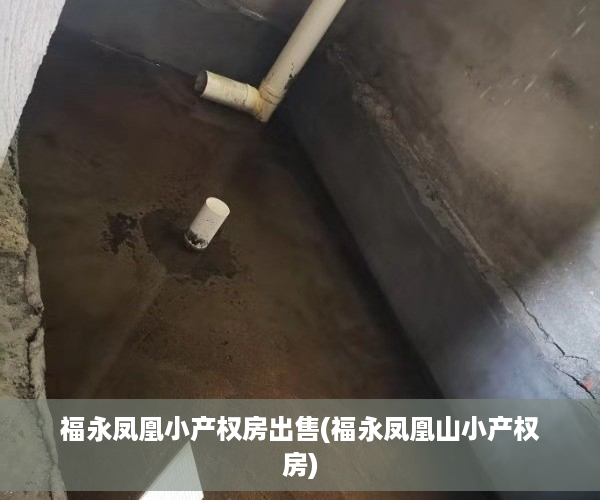 福永凤凰小产权房出售(福永凤凰山小产权房)