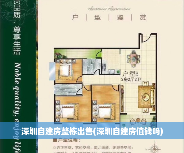 深圳自建房整栋出售(深圳自建房值钱吗)