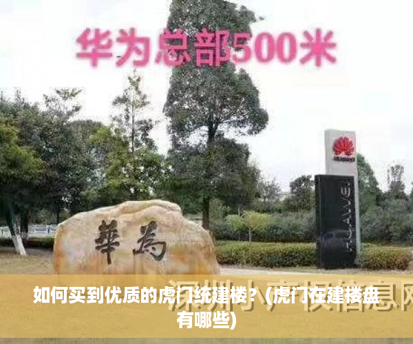 如何买到优质的虎门统建楼？(虎门在建楼盘有哪些)