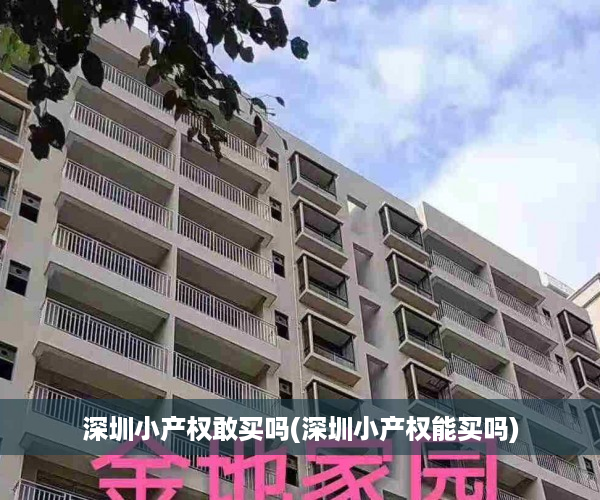 深圳小产权敢买吗(深圳小产权能买吗)