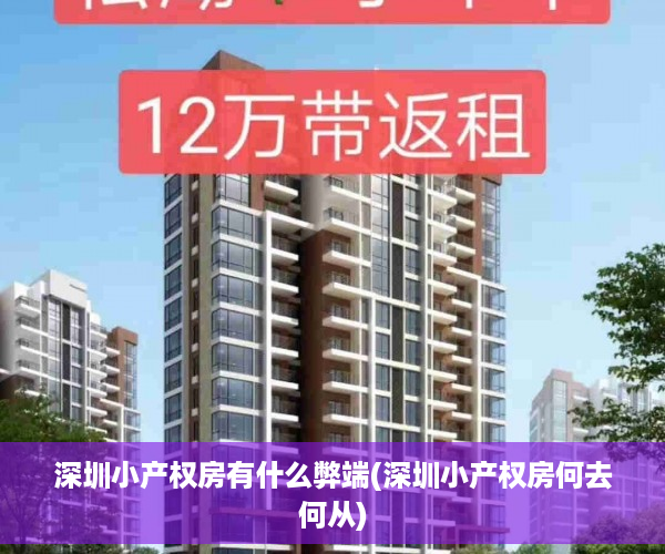 深圳小产权房有什么弊端(深圳小产权房何去何从)