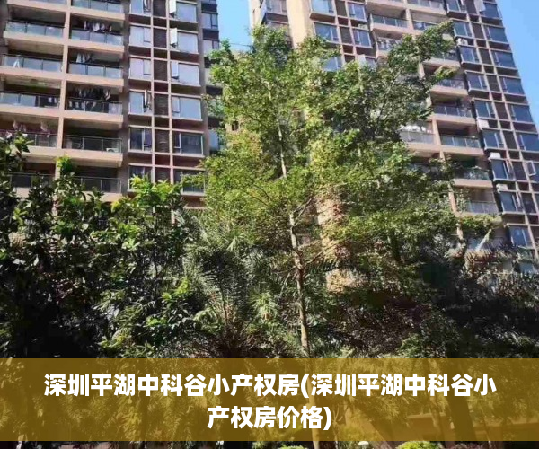 深圳平湖中科谷小产权房(深圳平湖中科谷小产权房价格)