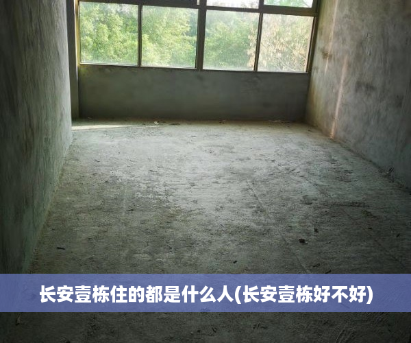 长安壹栋住的都是什么人(长安壹栋好不好)