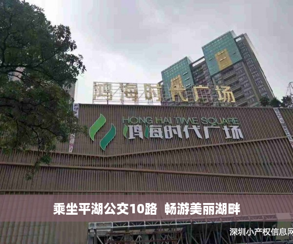 乘坐平湖公交10路  畅游美丽湖畔