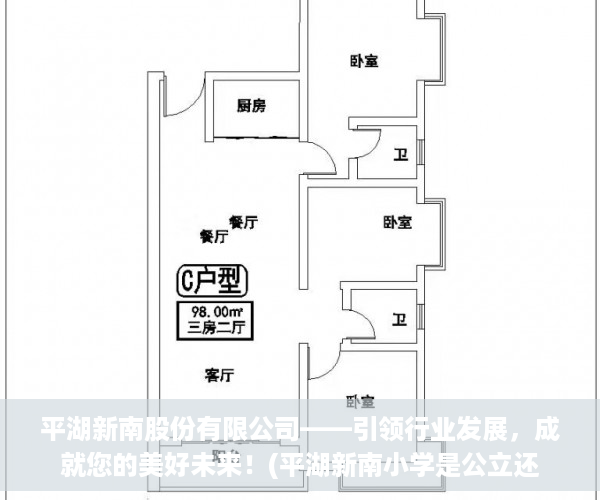 平湖新南股份有限公司——引领行业发展，成就您的美好未来！(平湖新南小学是公立还是私立)