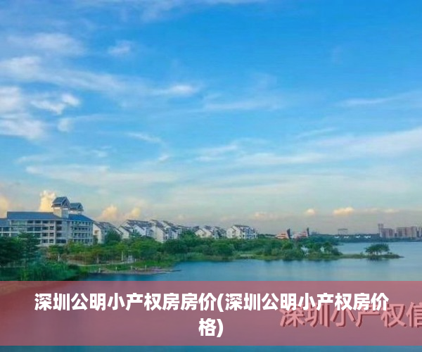 深圳公明小产权房房价(深圳公明小产权房价格)