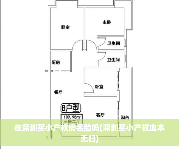 在深圳买小产权房丢脸吗(深圳买小产权血本无归)