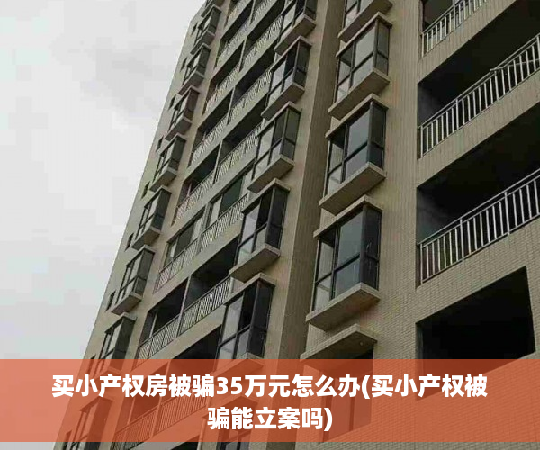 买小产权房被骗35万元怎么办(买小产权被骗能立案吗)