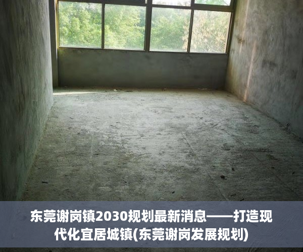 东莞谢岗镇2030规划最新消息——打造现代化宜居城镇(东莞谢岗发展规划)