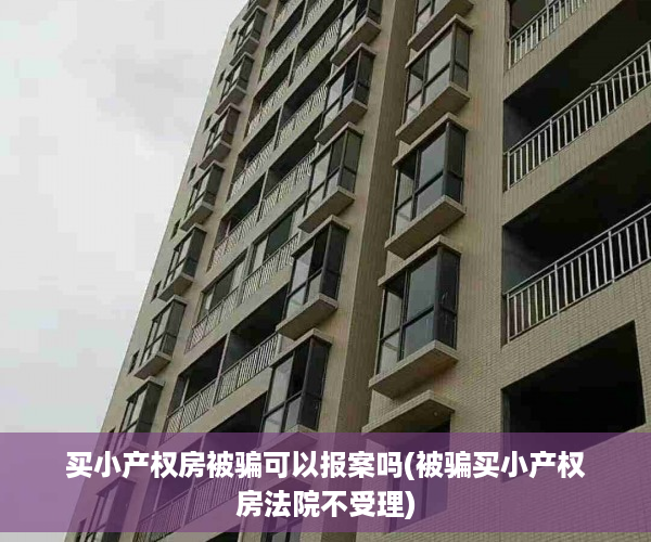 买小产权房被骗可以报案吗(被骗买小产权房法院不受理)