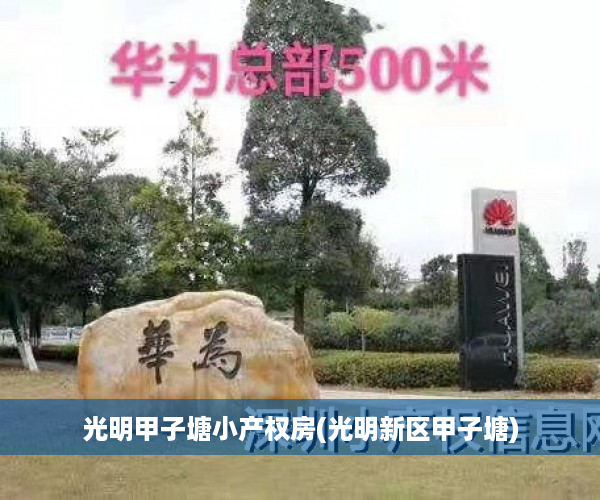 光明甲子塘小产权房(光明新区甲子塘)