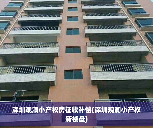 深圳观澜小产权房征收补偿(深圳观澜小产权新楼盘)