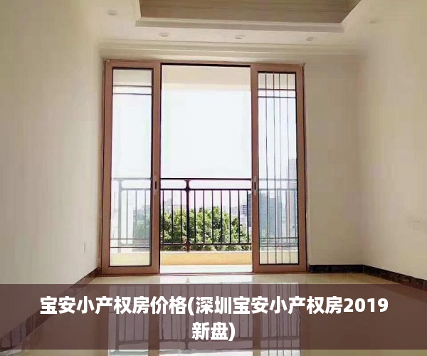 宝安小产权房价格(深圳宝安小产权房2019新盘)