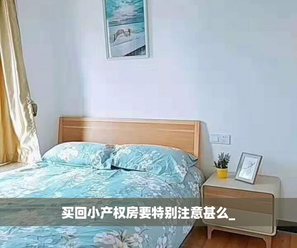 买回小产权房要特别注意甚么_