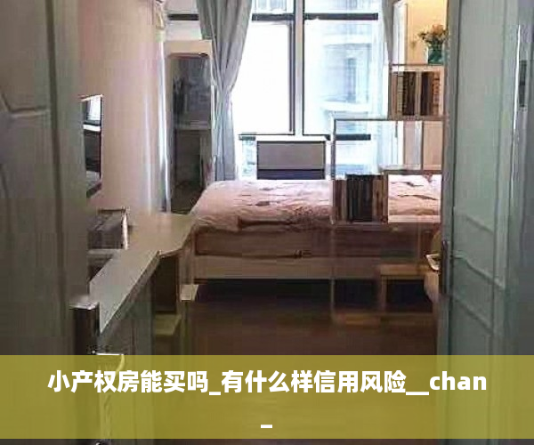 小产权房能买吗_有什么样信用风险__chan_