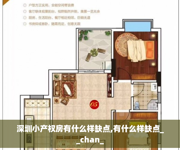 深圳小产权房有什么样缺点,有什么样缺点__chan_